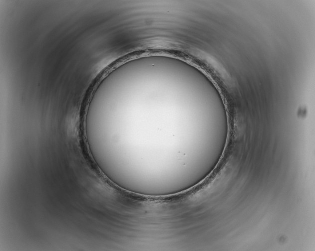 X0000103951065200809191435