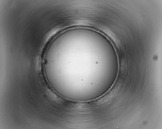 X0000103951067200809191435