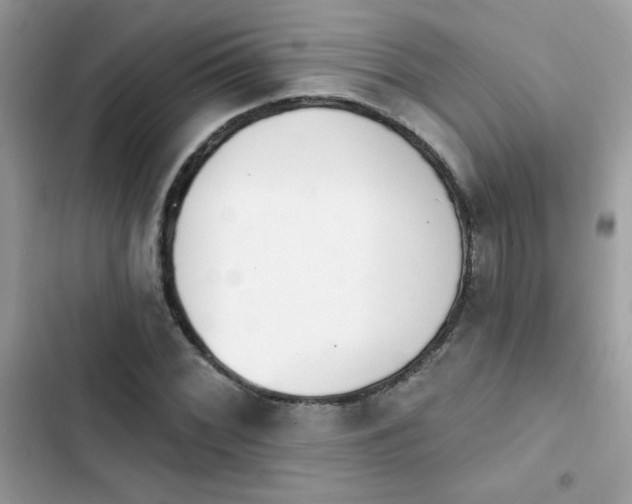 X0000103951068200809191435