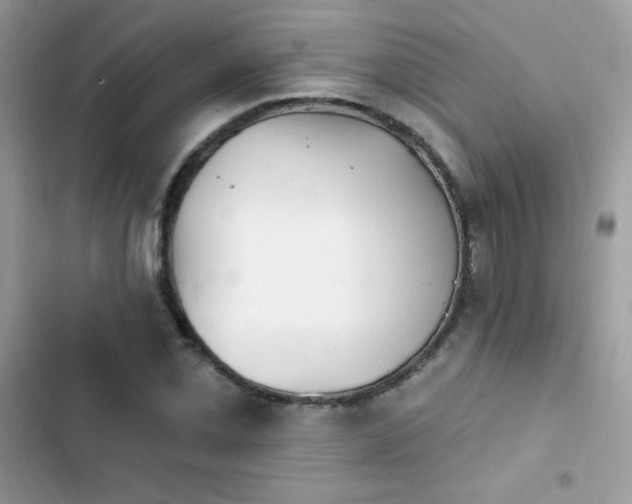 X0000103951069200809191435