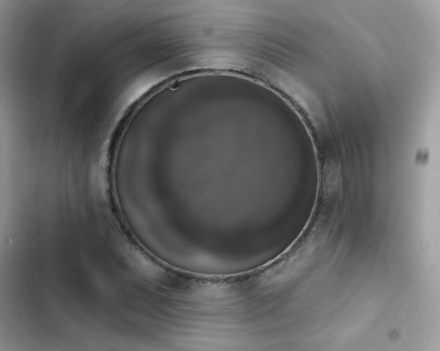 X0000103951071200809191435