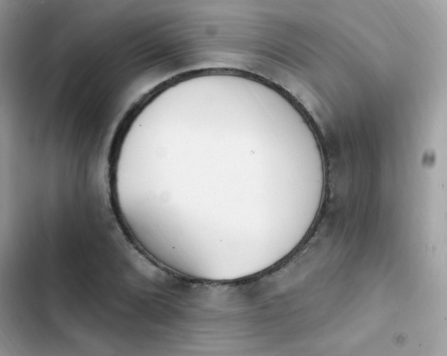X0000103951072200809191435