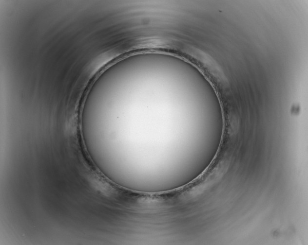 X0000103951073200809191435
