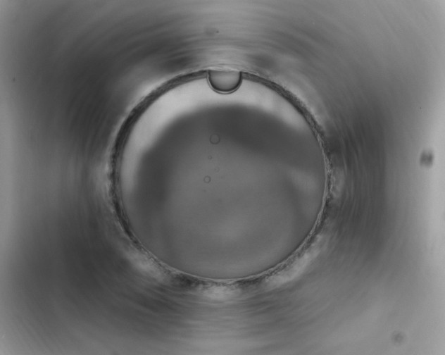 X0000103951074200809191435