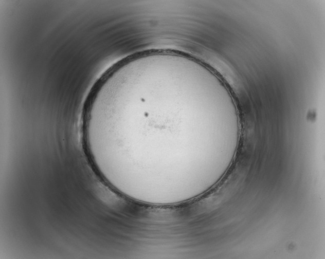 X0000103951076200809191435