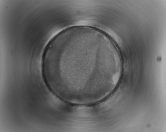 X0000103951077200809191435