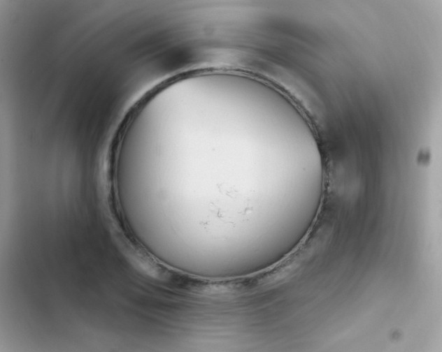 X0000103951078200809191435
