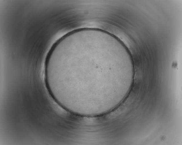 X0000103951080200809191435
