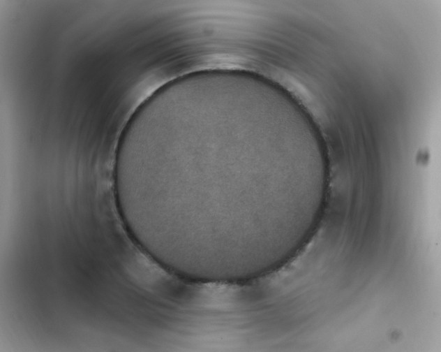 X0000103951081200809191435