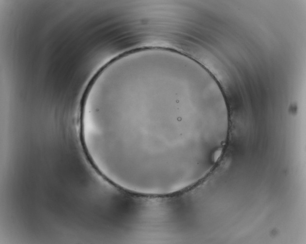 X0000103951084200809191435