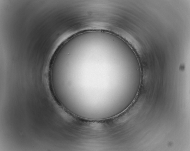 X0000103951085200809191435