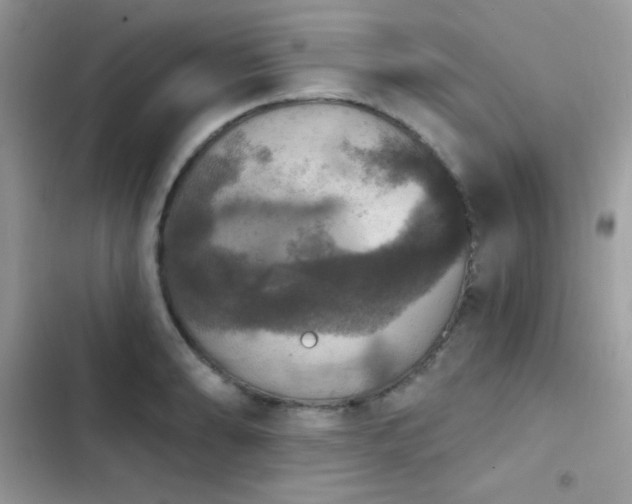 X0000103951086200809191435
