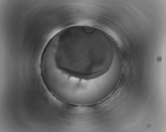 X0000103951087200809191435