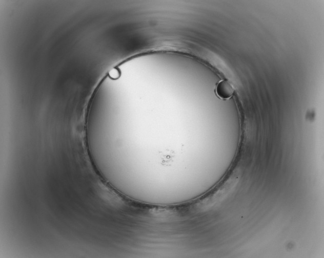 X0000103951089200809191435