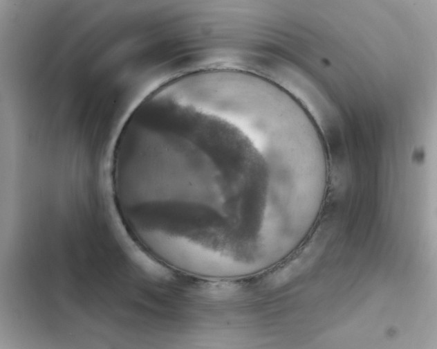 X0000103951090200809191435