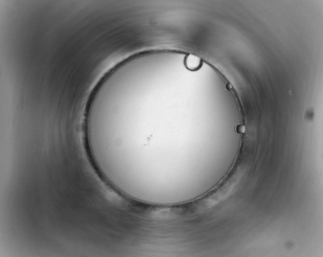 X0000103951093200809191435