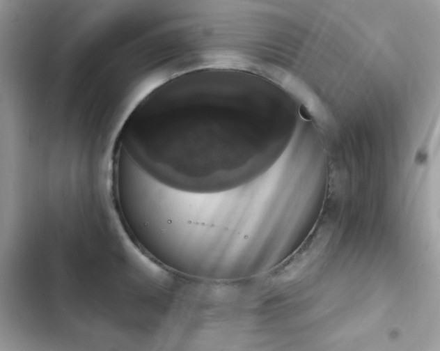 X0000103951095200809191435