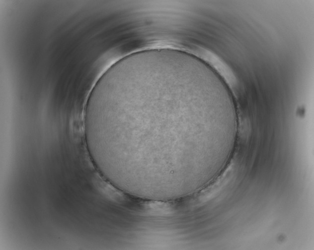 X0000103951097200809191435