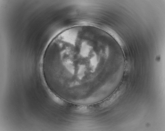 X0000103951098200809191435