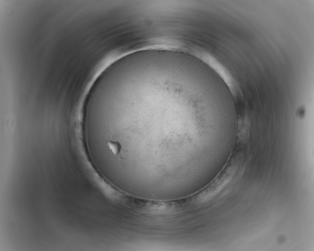 X0000103951099200809191435