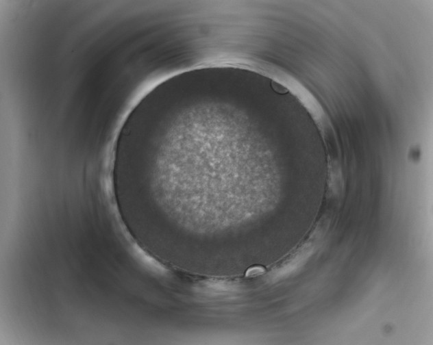 X0000103951102200809191435