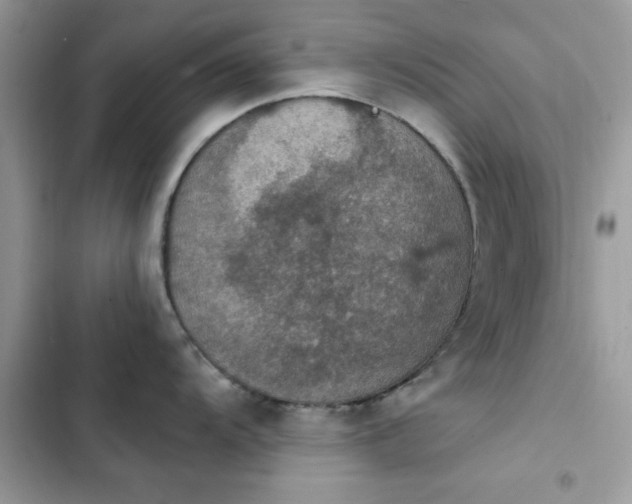 X0000103951104200809191435