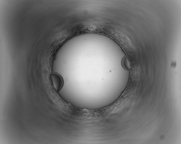 X0000103951105200809191434