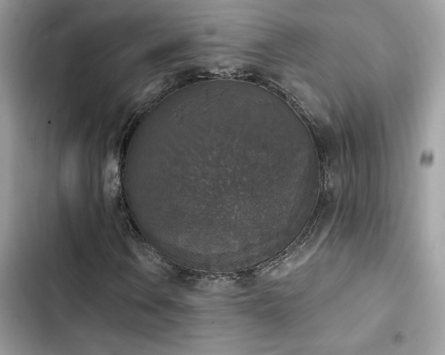 X0000103951106200809191434