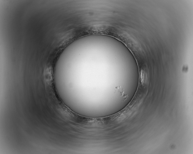 X0000103951107200809191434