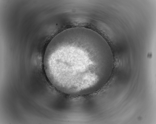 X0000103951108200809191434
