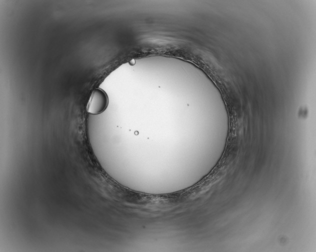 X0000103951109200809191434