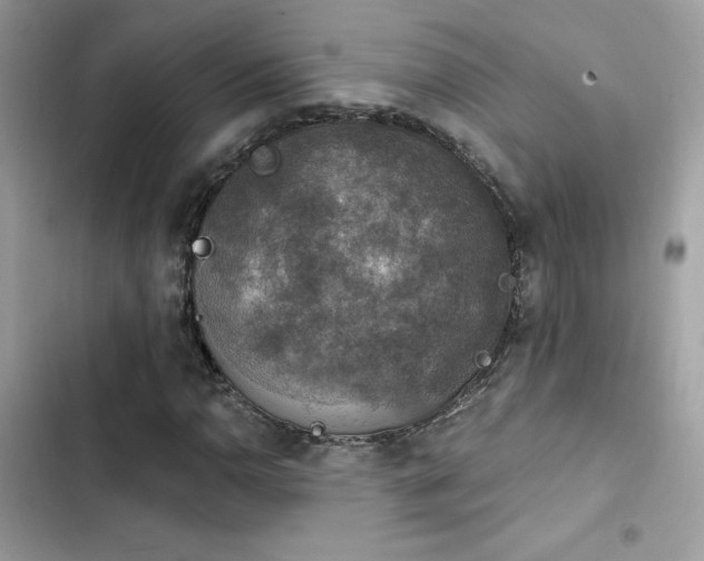 X0000103951110200809191434