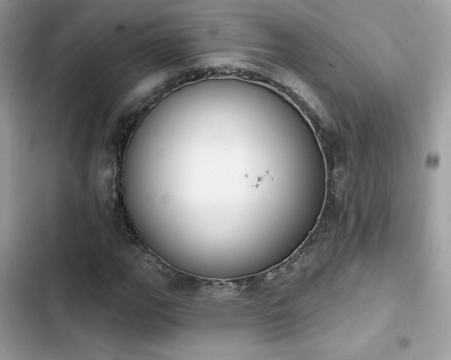 X0000103951111200809191434