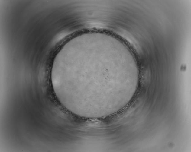 X0000103951112200809191434