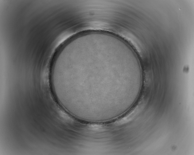X0000103951114200809191434