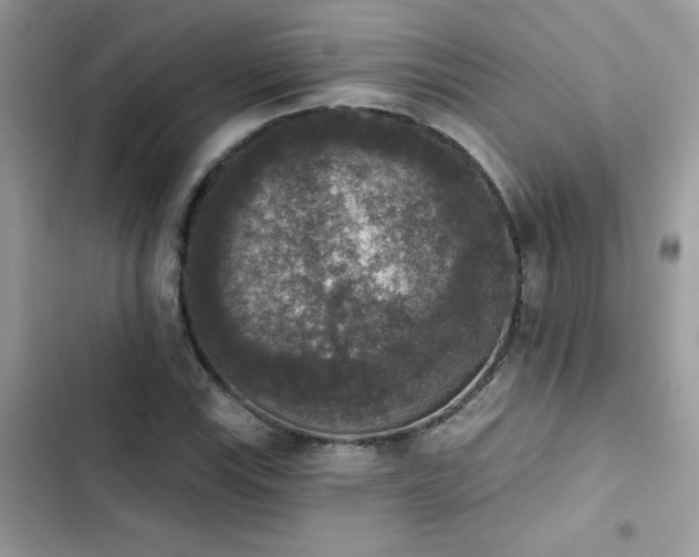 X0000103951115200809191434