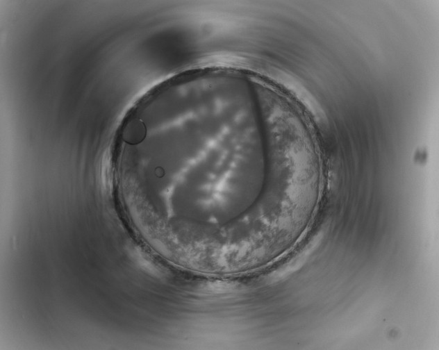 X0000103951117200809191434