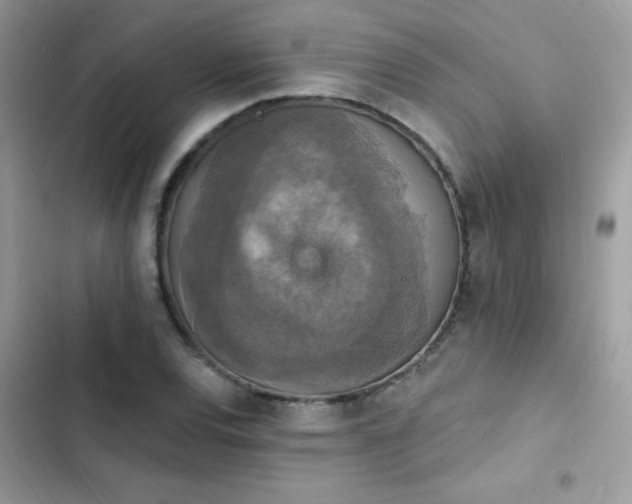 X0000103951120200809191434