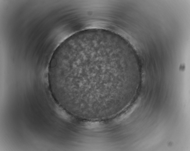 X0000103951121200809191434