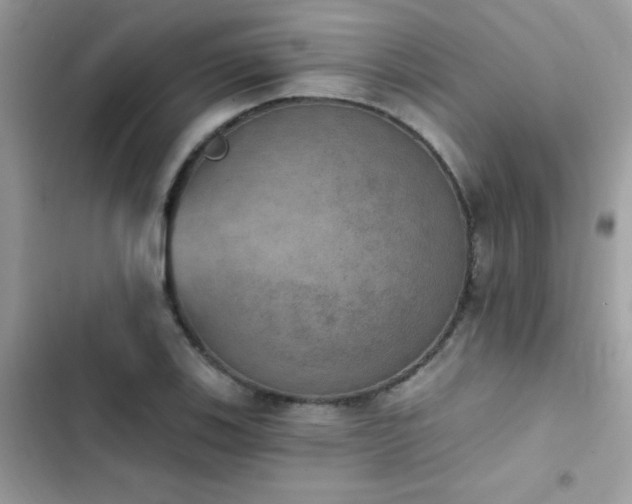 X0000103951123200809191434