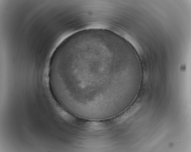 X0000103951124200809191434