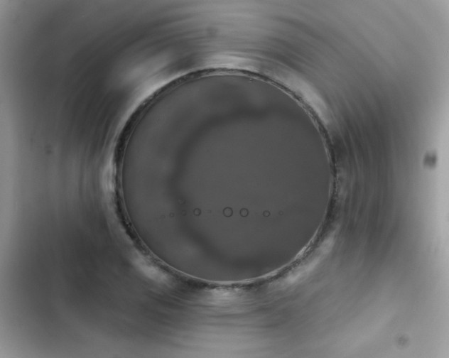 X0000103951125200809191434
