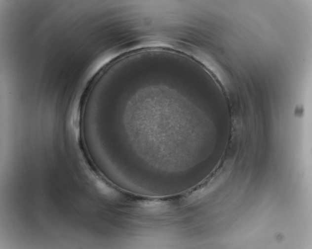 X0000103951127200809191434