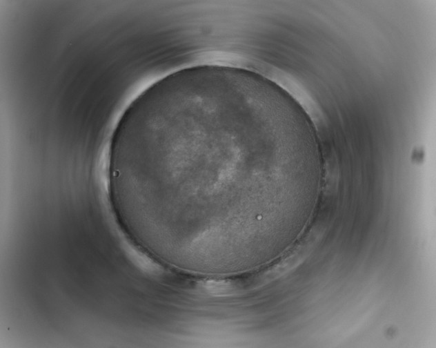 X0000103951128200809191434