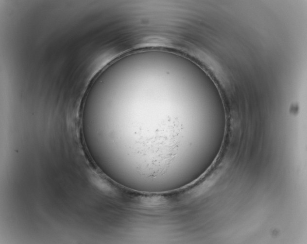 X0000103951129200809191434