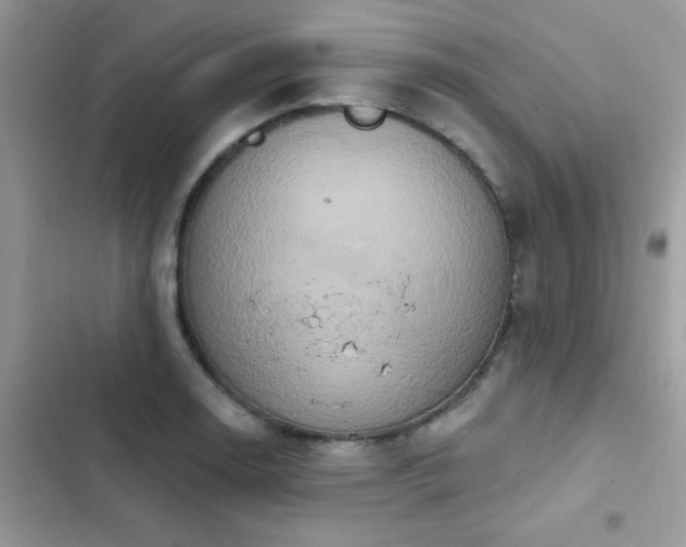 X0000103951130200809191434