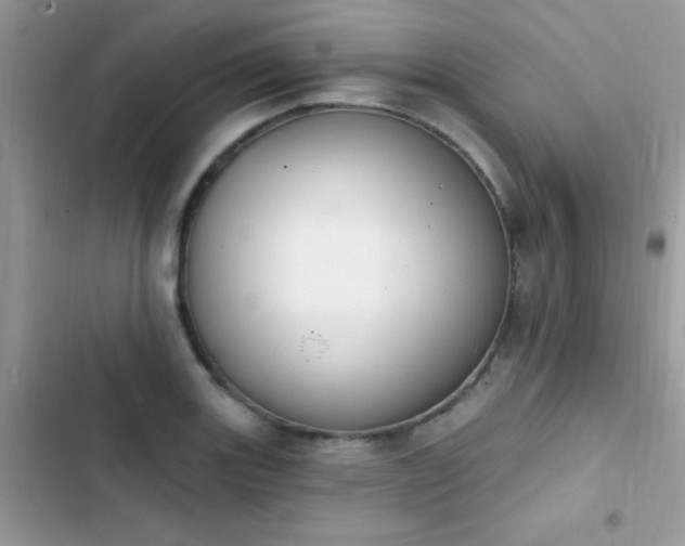 X0000103951131200809191434