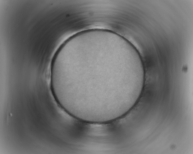 X0000103951132200809191434