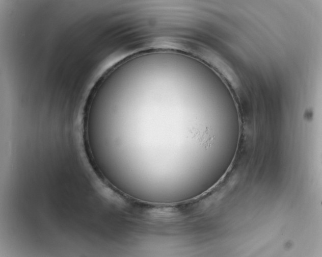 X0000103951133200809191434