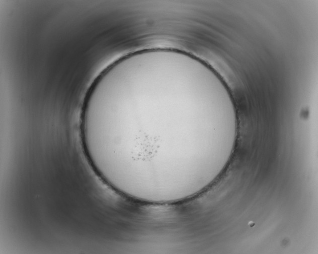 X0000103951134200809191434